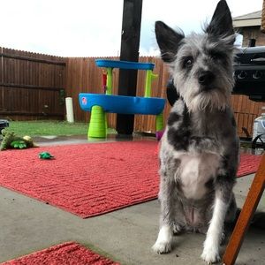 Meet your Posher, Robin